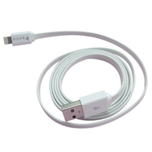 样品 33 白色 USB AM & I-PHONE 5传输线