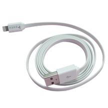 USB AM & I-PHONE 5 传输线 白色